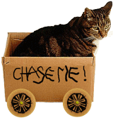 HKPP – Beating The Crates 04.04.11