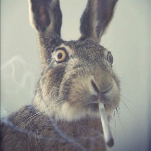 Happy 4/20 With 2 Free DL’s And A Classic Mix Happy 4/20 With 2 Free DL’s And A Classic Mix